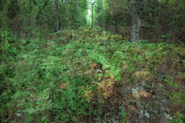 walter-crump-mergings-photography-landscape