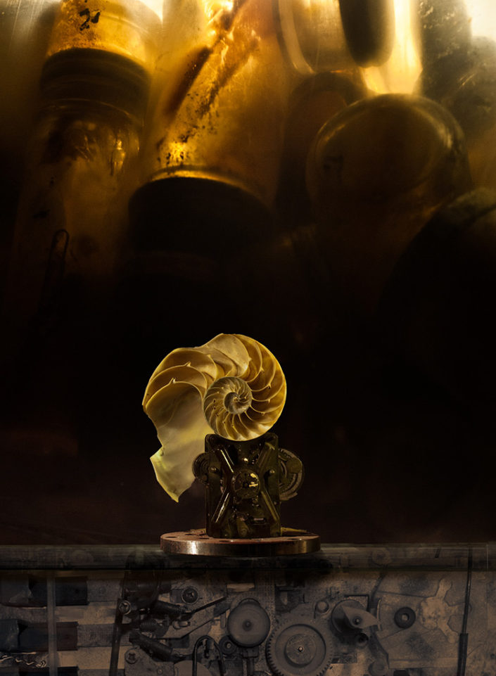 walter-crump-photography-still-life