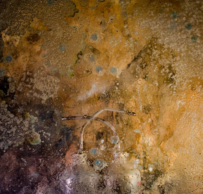 walter-crump-photography-still-life